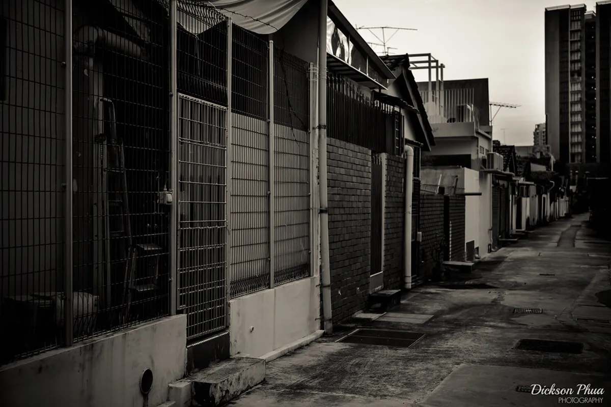 Exploring the Hidden Alleyways of Porto in 2026