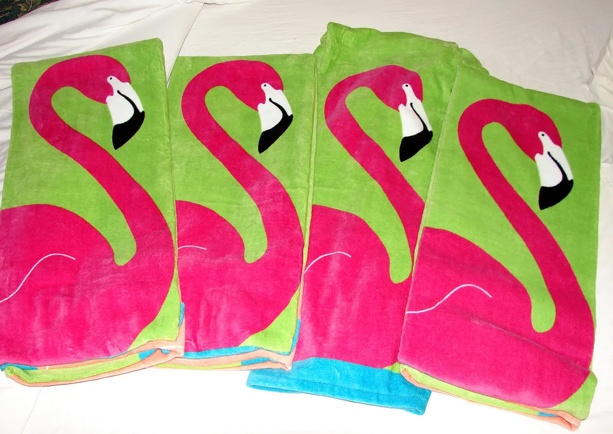 Best Months for Bird Watching Walks in Sagres