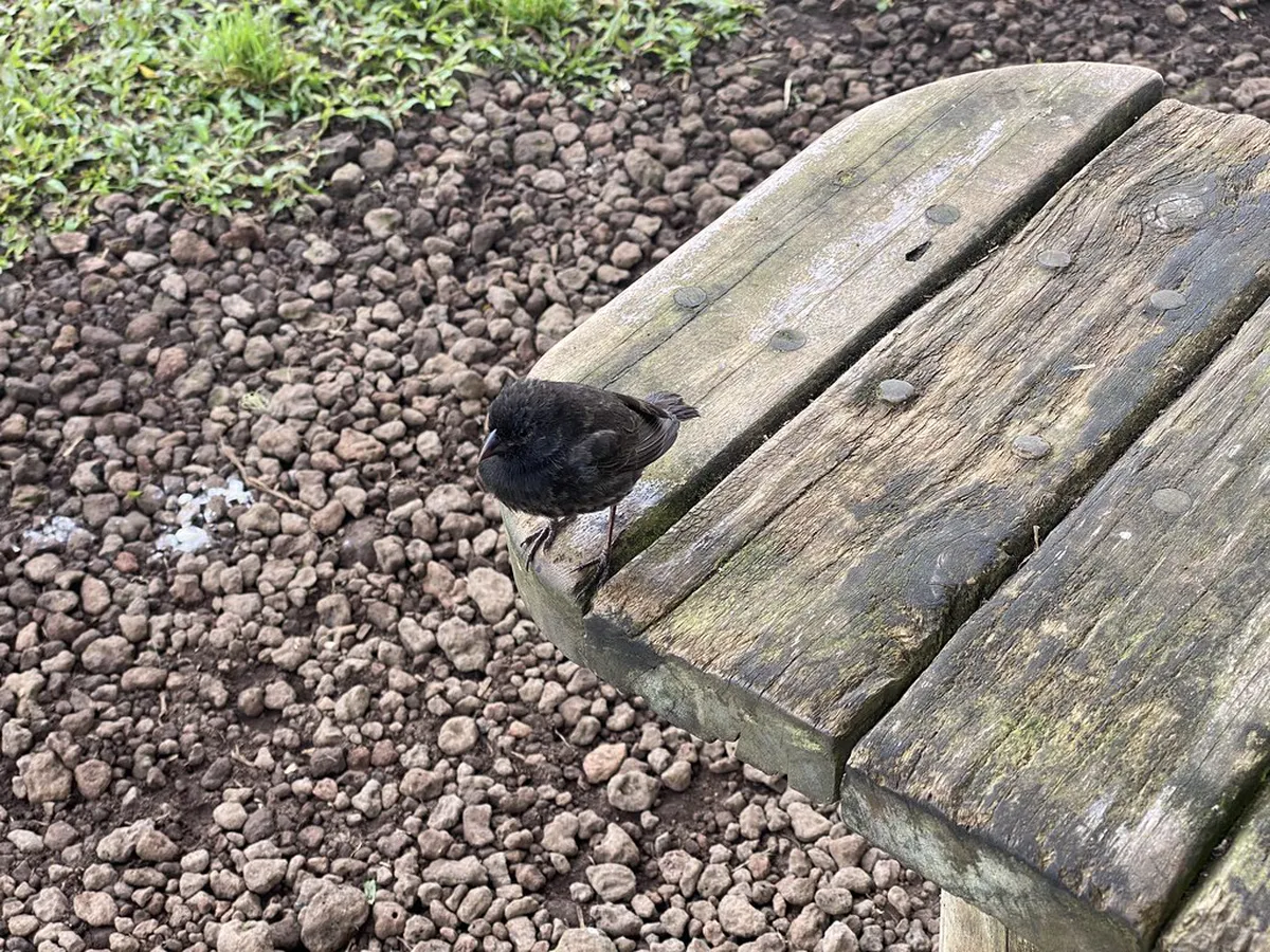 Bird Watching Walking Tours in Sagres 2026