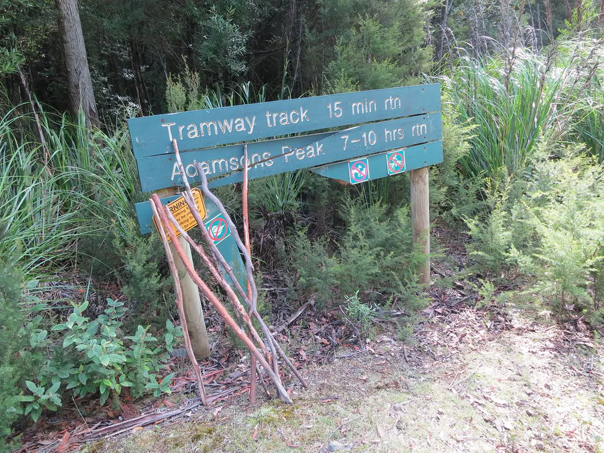 Recommended Walking Sticks for Sagres Cliff Paths
