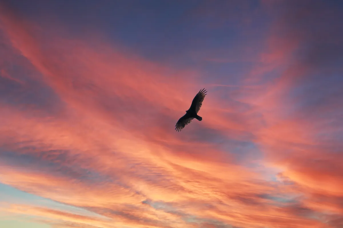 Cost of Guided Hiking Tours in Silves | 2026 Prices