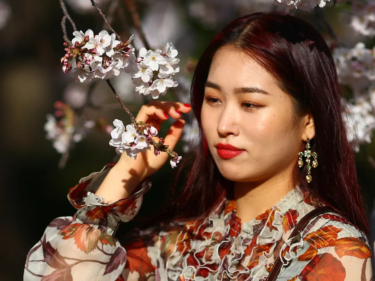 Spring vs Autumn Walking in Silves Portugal: 2026 Guide