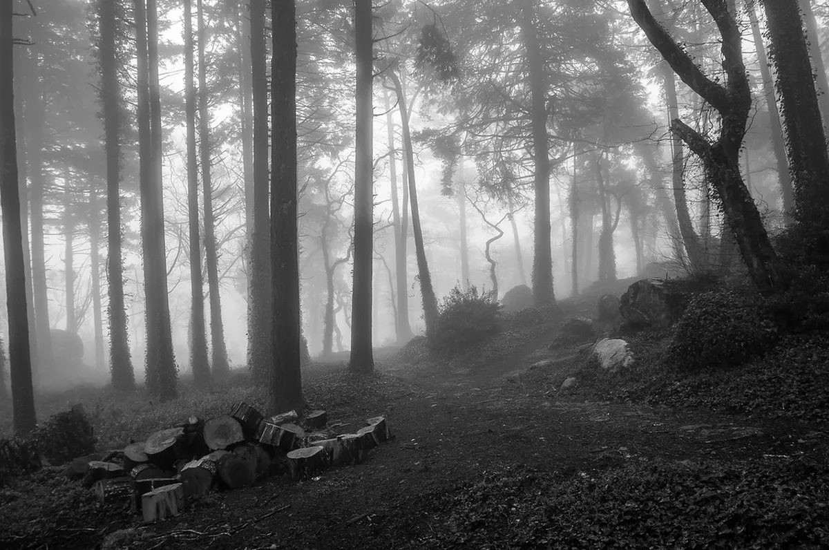 Hidden Trails in Sintra: 2026 Hiking Guide