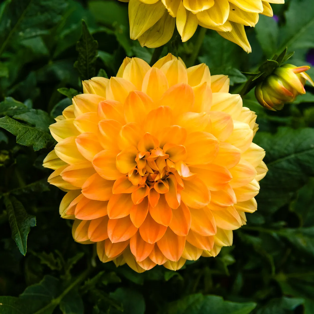 Interactive Nature Trails for Children in Sintra