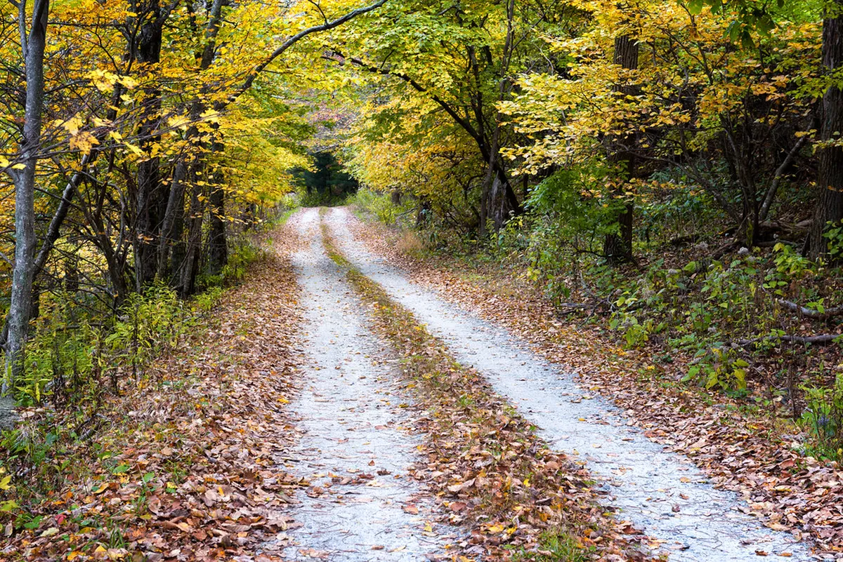 Best Off the Beaten Path Sintra Walking Routes
