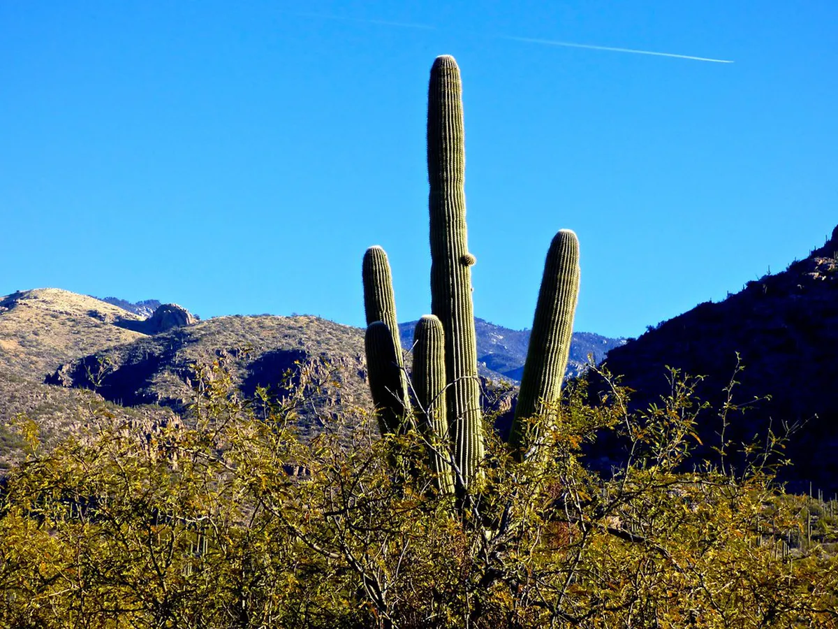 Guided Nature Walks in Ria Formosa Park Review