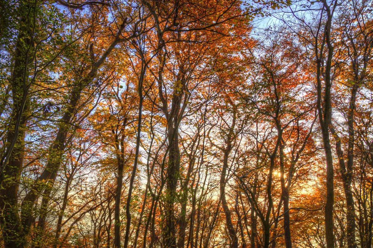 Hiking Trails in Tavira Countryside: 2026 Guide