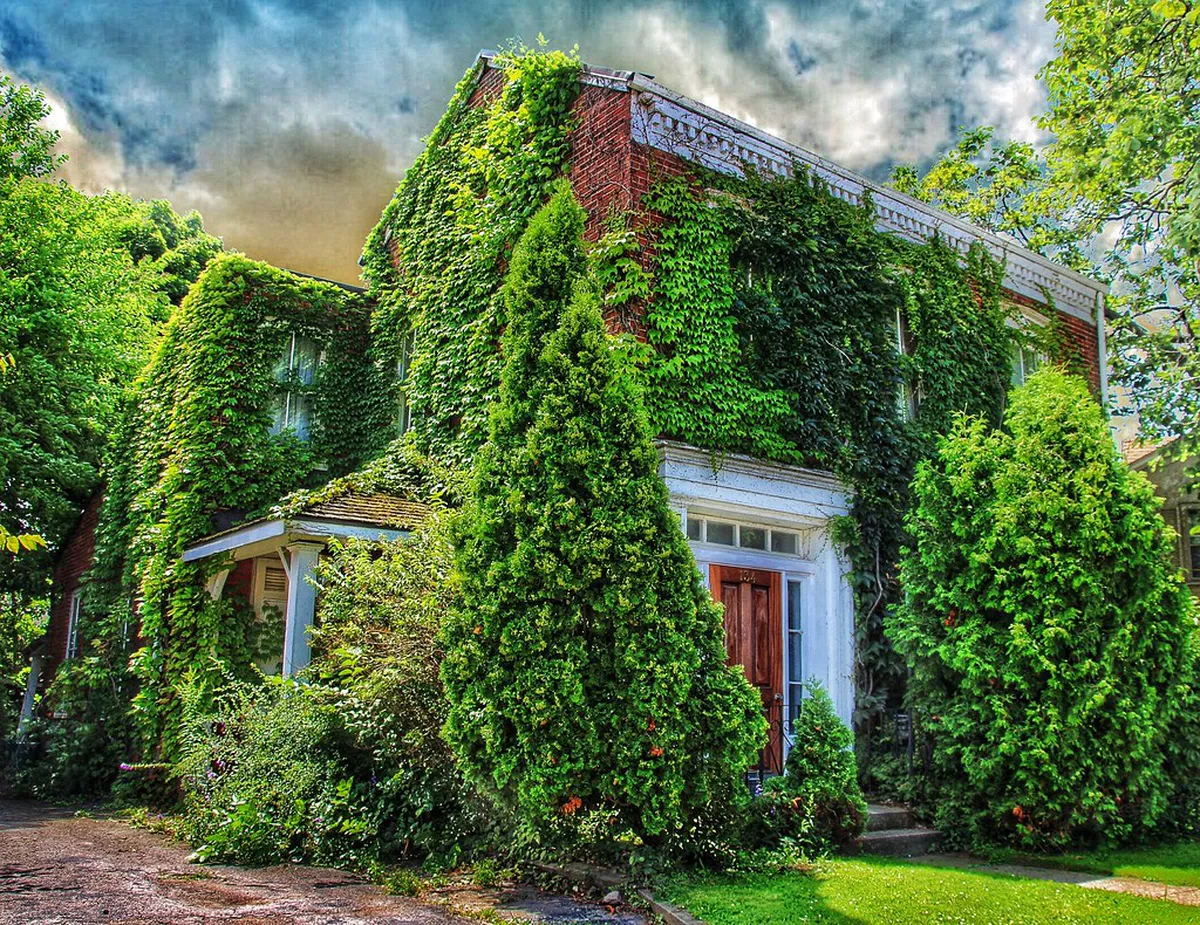 Historic Old Town Walking Tour: Tavira Guide