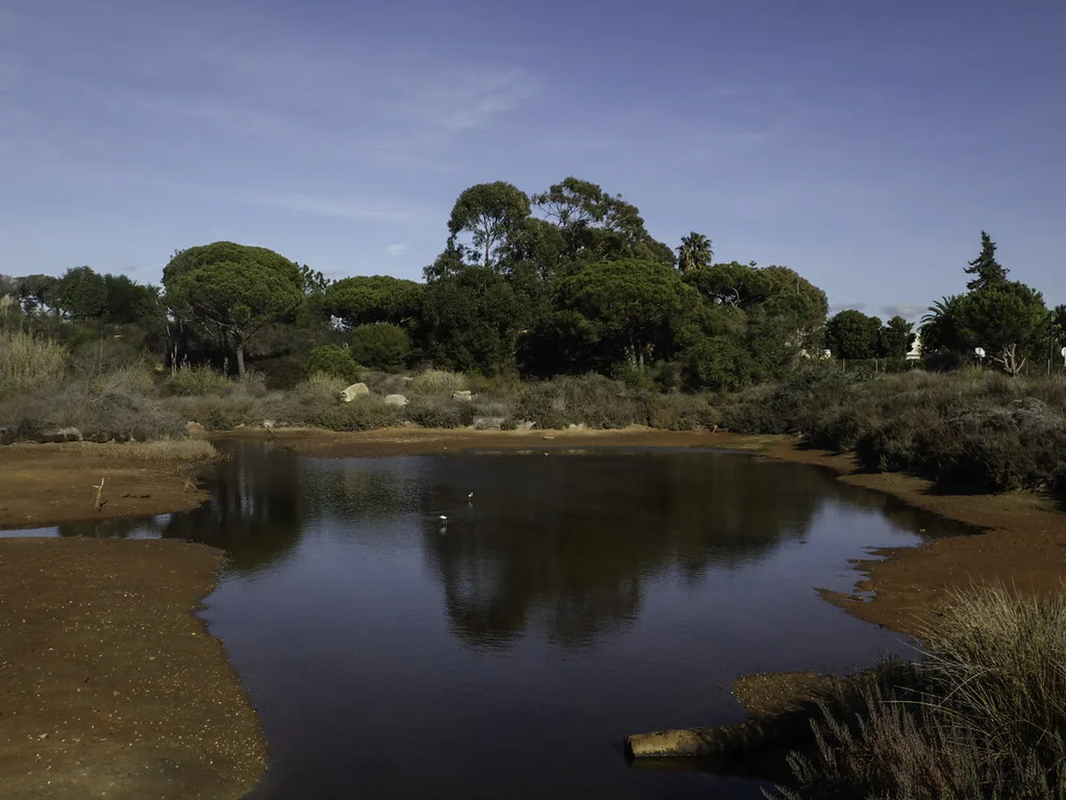 Ria Formosa Nature Trails Tavira: 2026 Guide