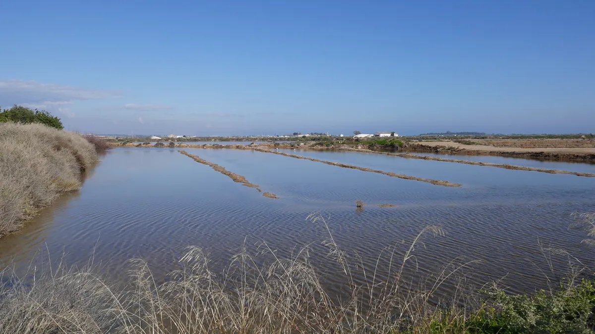 Best Tavira Salt Pan Walking Routes 2026