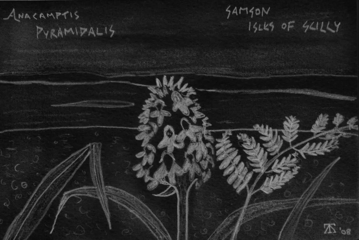 Family Walking Distance to Convent of Christ Guide