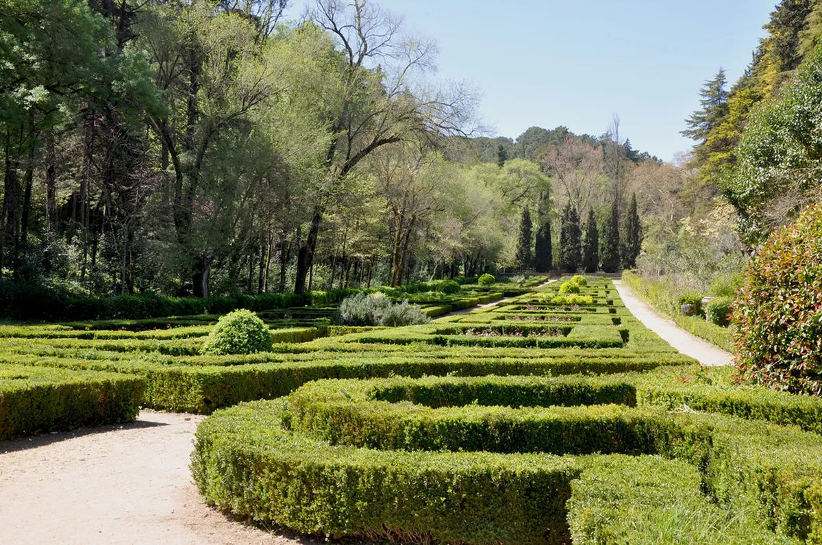 Guide to Mata dos Sete Montes Walks in Tomar