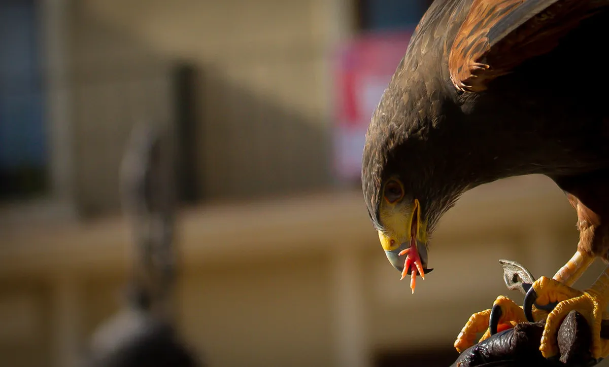 7 Best Short Walks Near Tomar Center