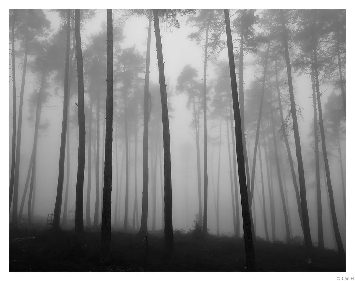 Best Time for Walking in Viana: A 2026 Guide