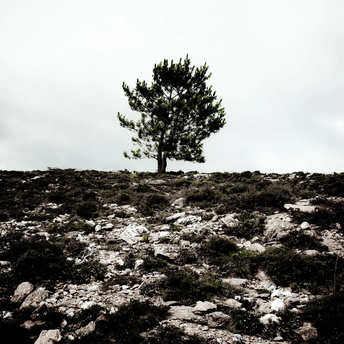 Best Serra de Arga Mountain Hiking Trails