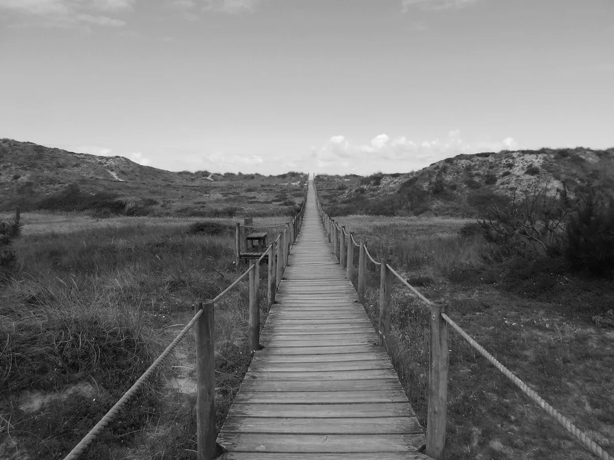 Viana do Castelo Coastal Trail Guide