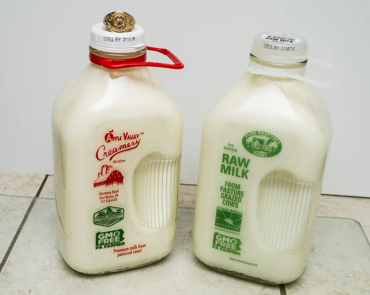 Best Water Bottles for Long Walks in Milfontes