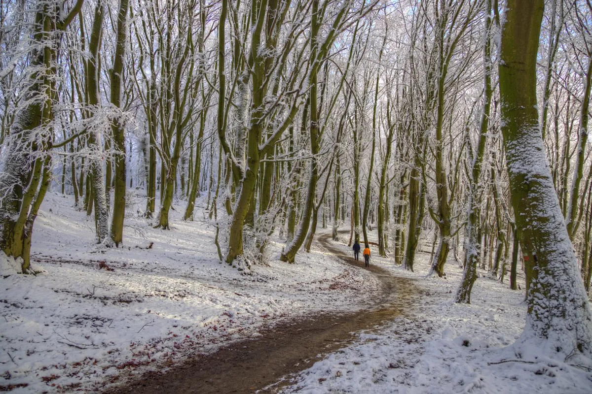 Winter Walking in Milfontes: Best 2026 Tips