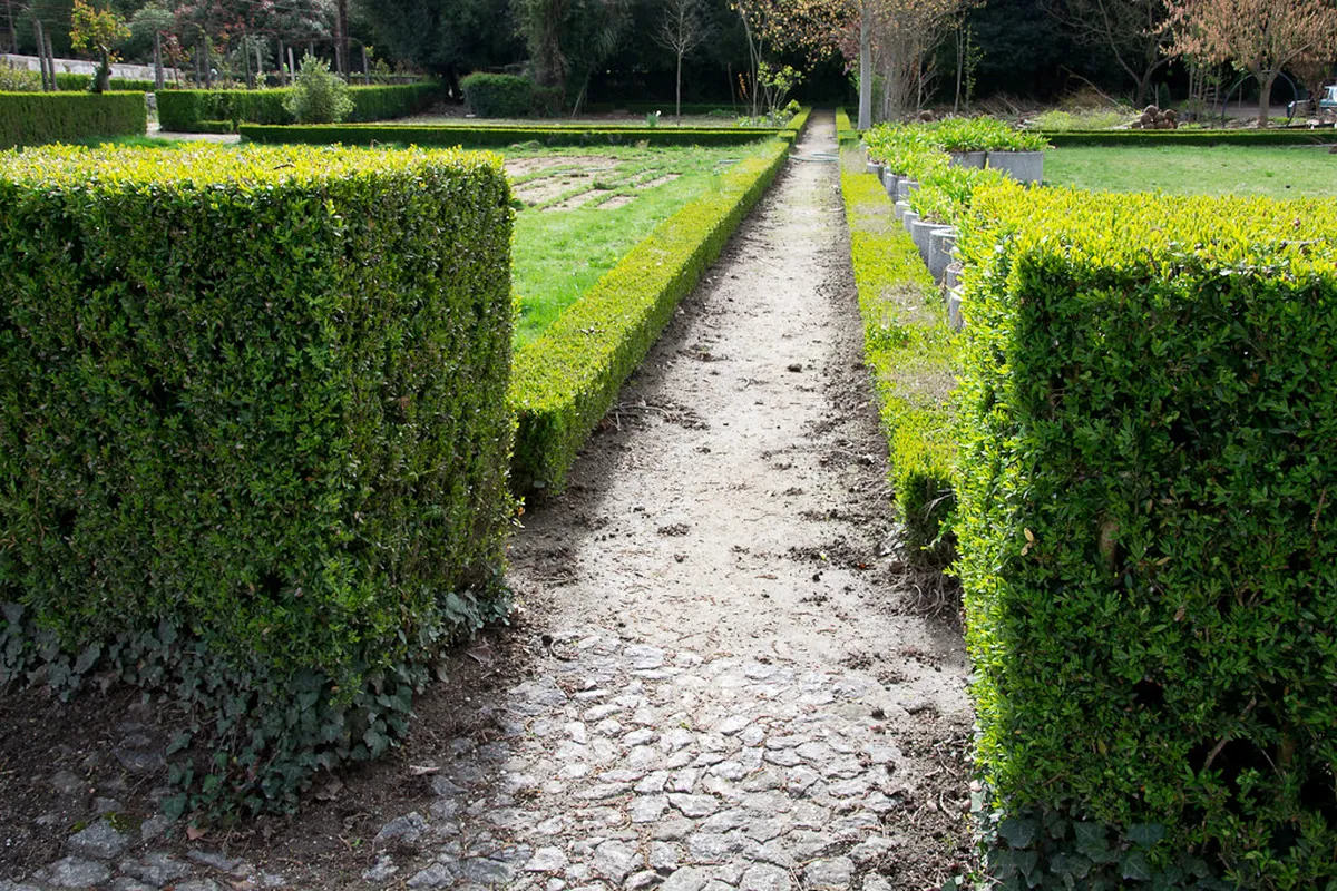 Fontelo Park Viseu Trail Map Guide 2026