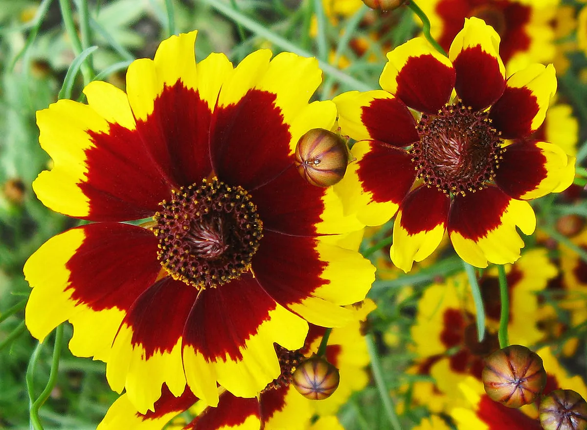 How to Visit Viseu Cathedral on Foot: 2026 Guide