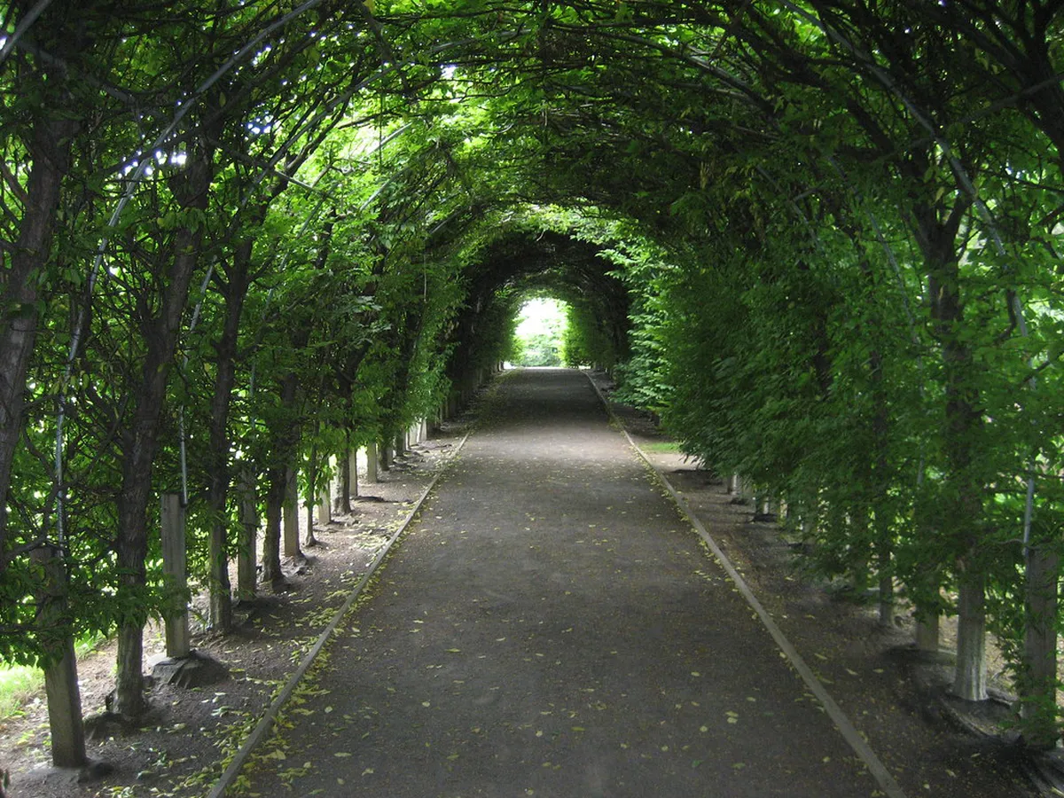 Shaded Walking Paths in Parque do Fontelo Guide