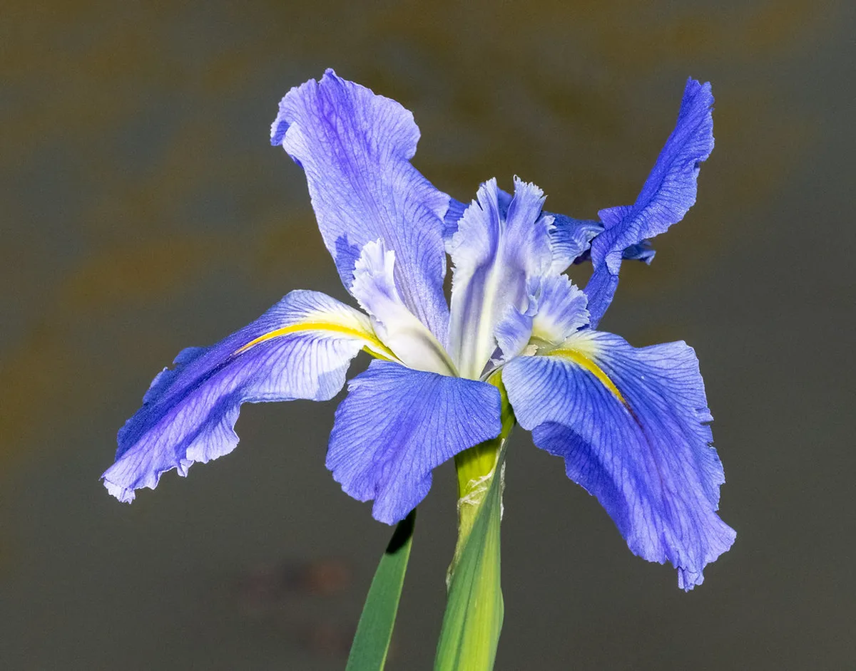 Animal Themed Walking Paths in Basel Zoo