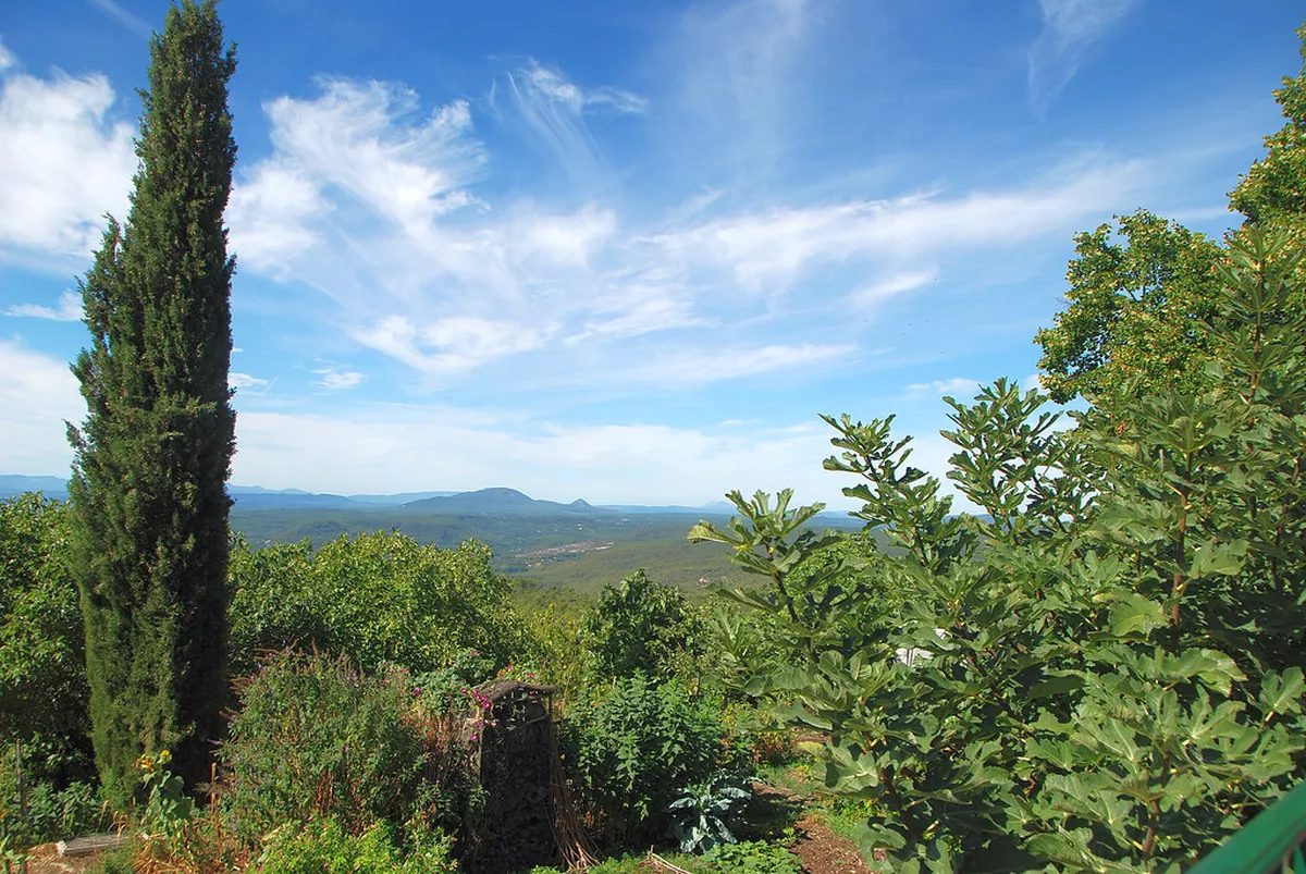Best Time to Visit Haldenstein Castle Walk