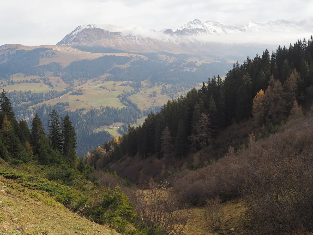 Brambrüesch Winter Hiking Trails Map and Guide