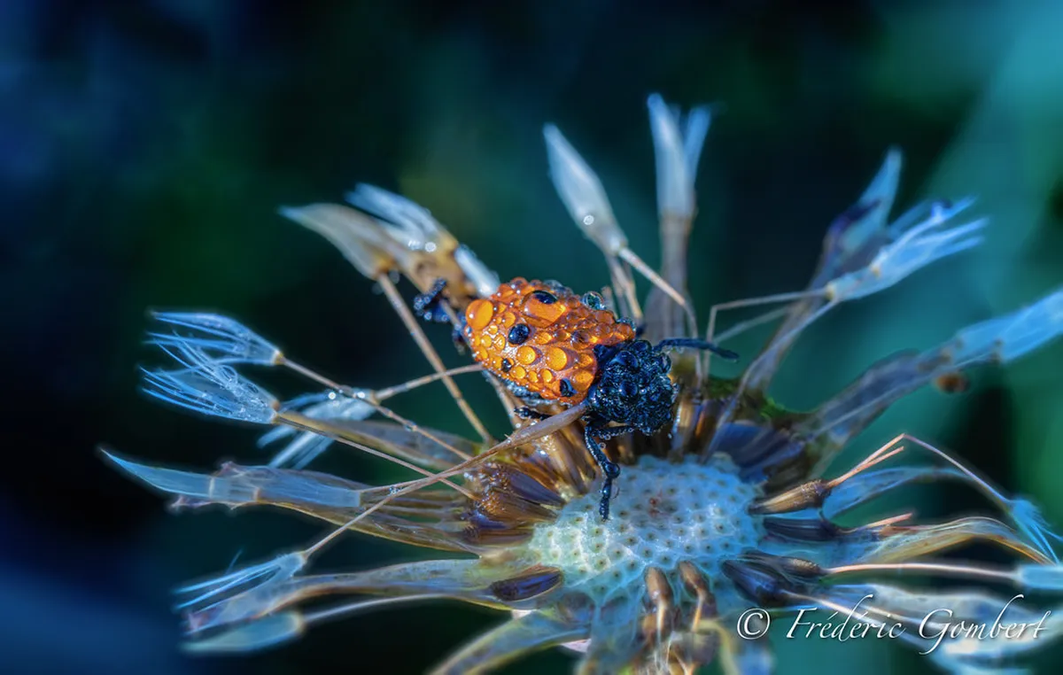 Difficulty of the Chur to Haldenstein Path Guide