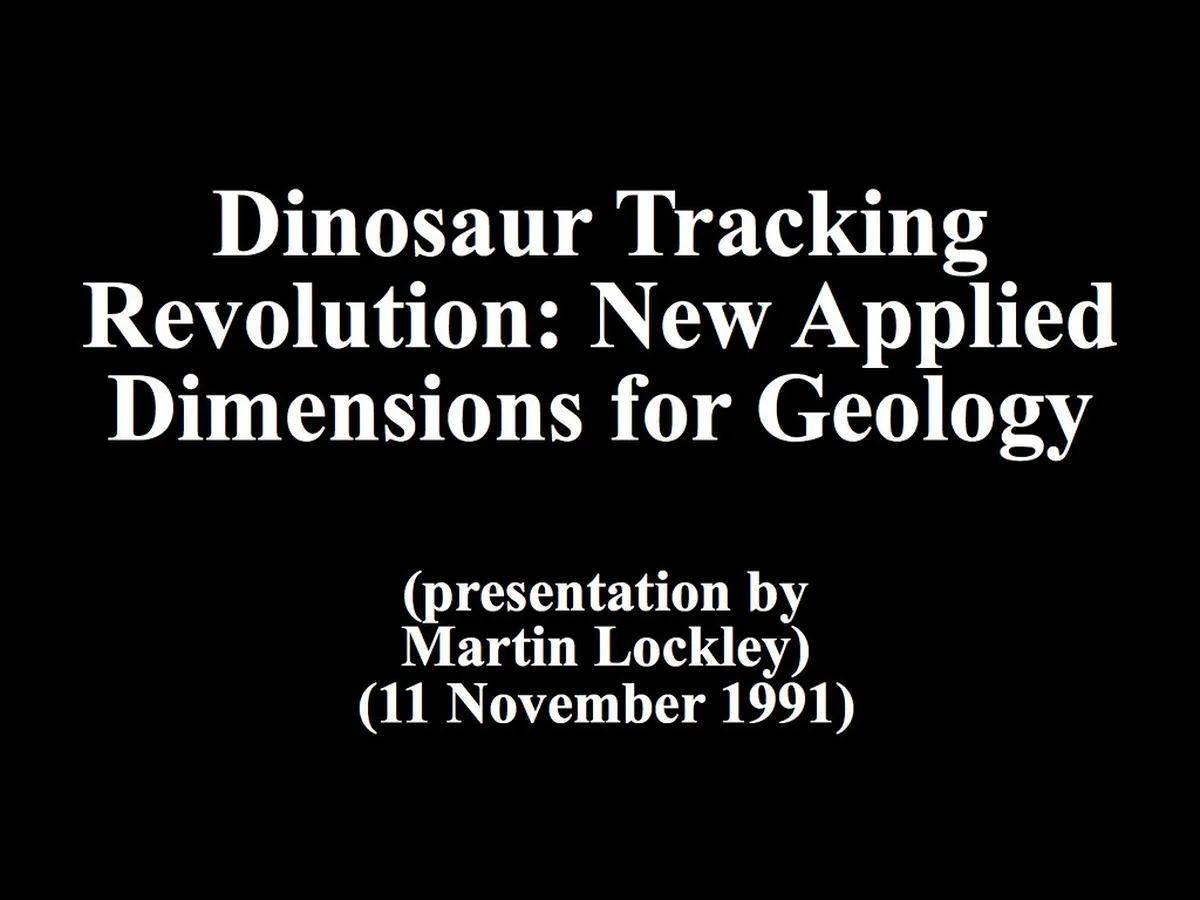 Cycling vs Walking Paths Along the Rhone in Geneva