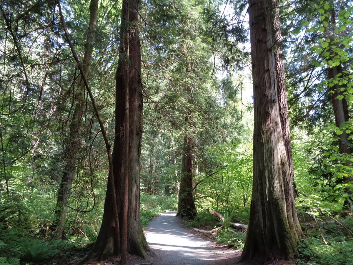 Short Walking Loops for Toddlers in Geneva Parks