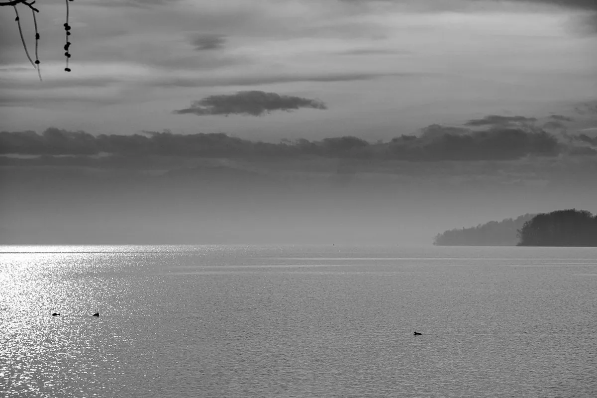 Winter Scenery Walks Along the Geneva Lakefront