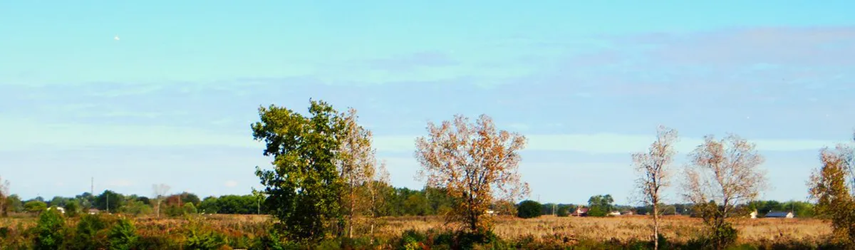 Best Picnic Spots Near Grosse Scheidegg Pass
