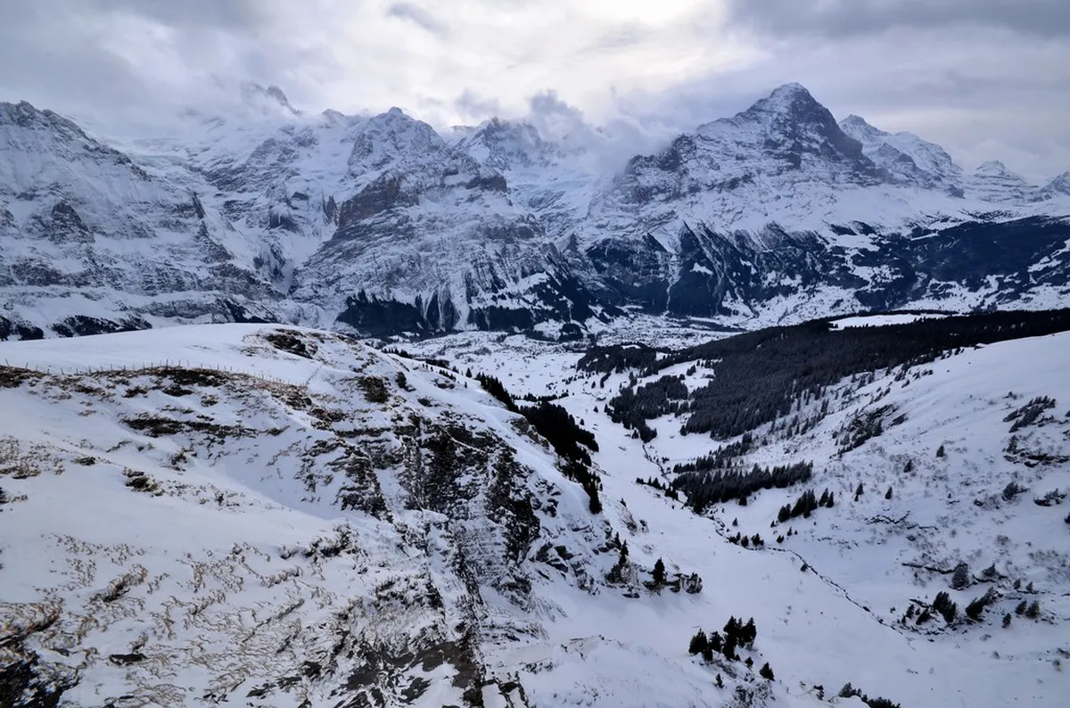 Grindelwald Winter Walking Trails 2026 Guide