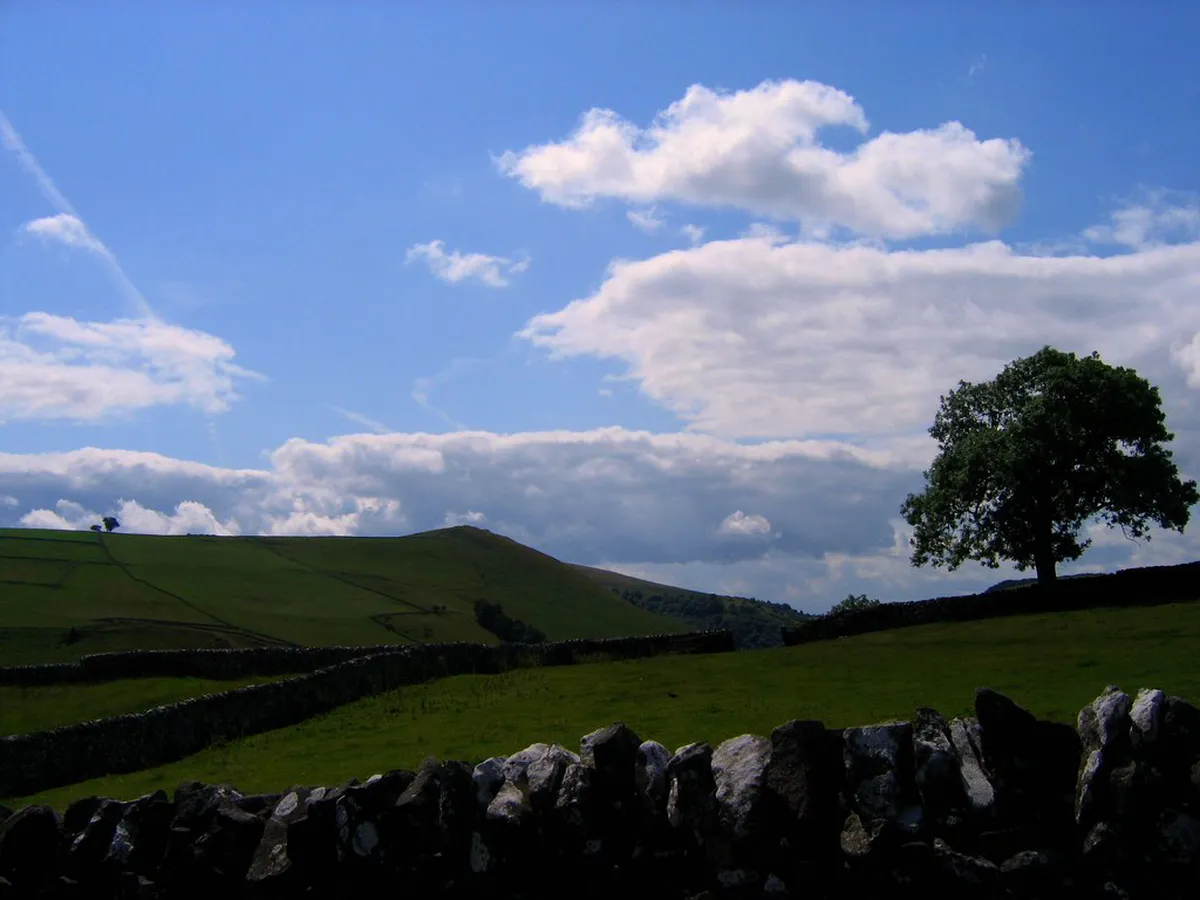 Accessible Riverside Walking Paths for Seniors Interlaken