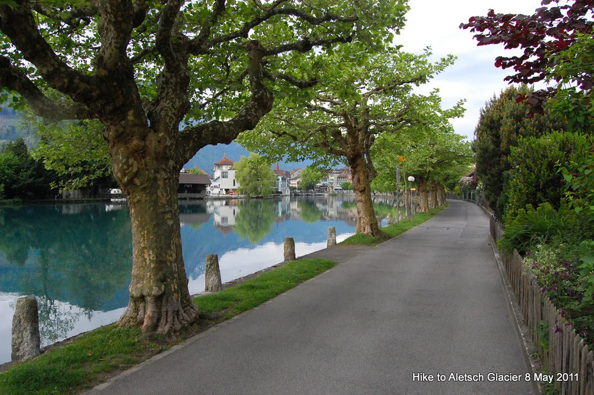 Are Interlaken Walking Trails Open in January?