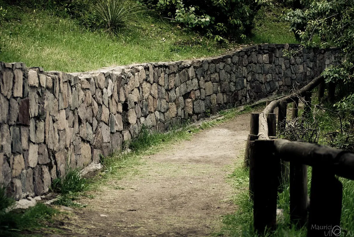 Hidden Walking Paths in Lausanne: 2026 Guide