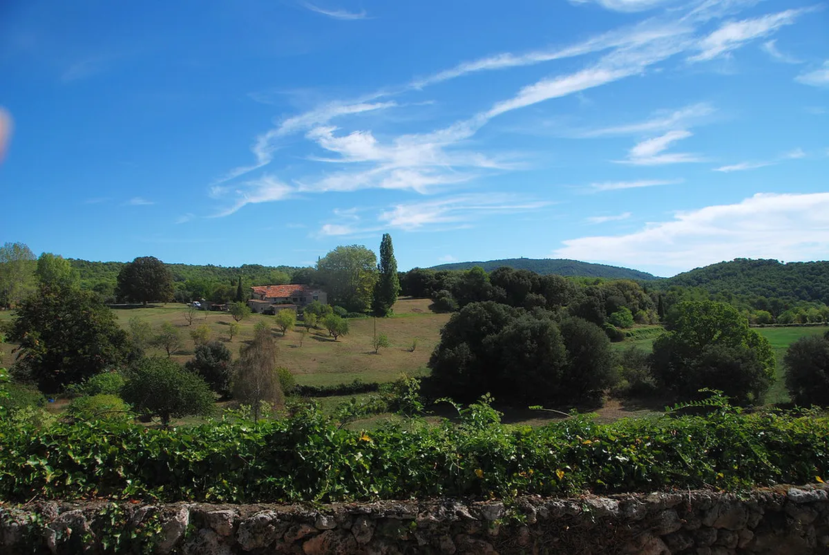 Most Scenic Photo Spots in Lavaux: 2026 Guide