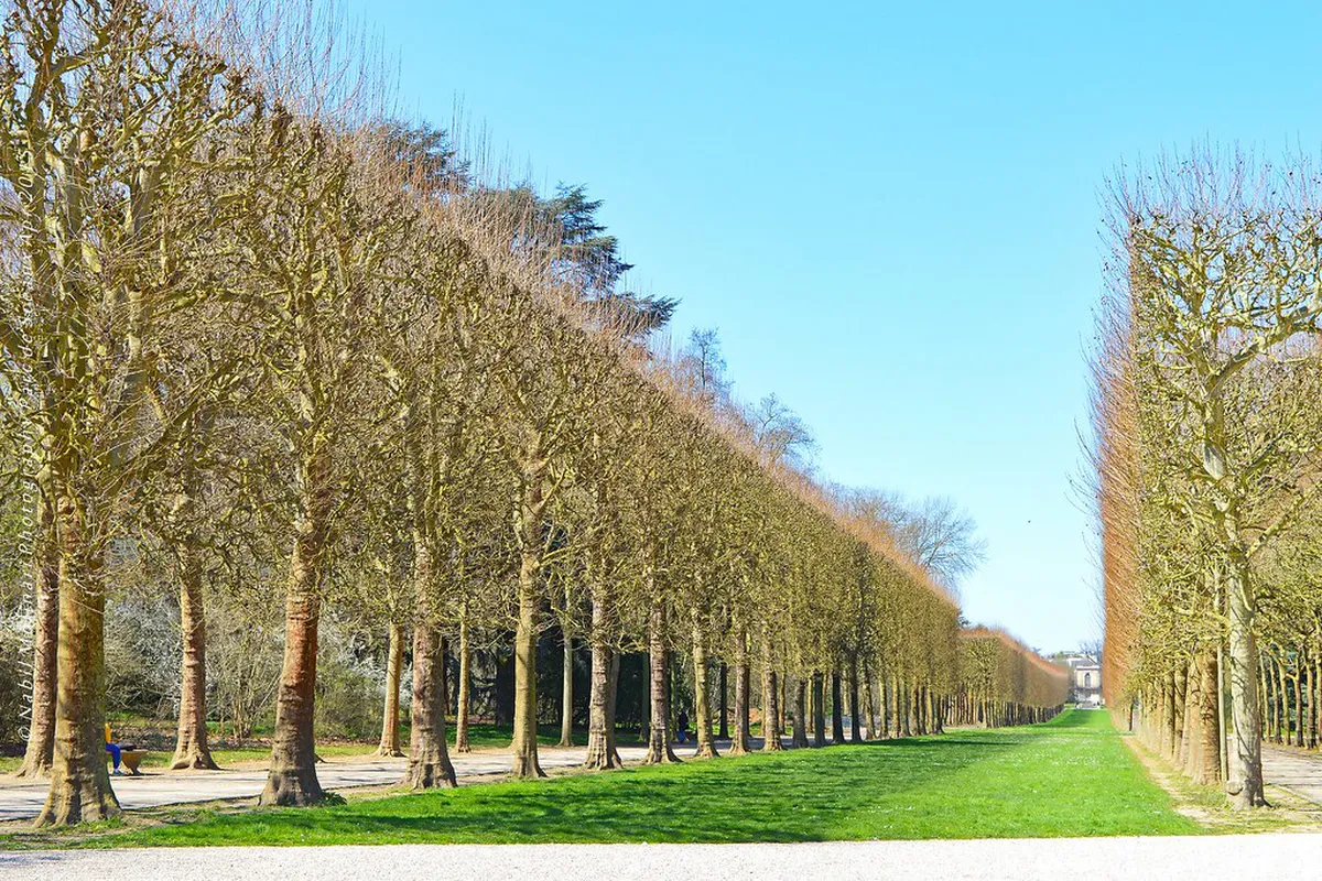 Parc de l'Hermitage Panoramic Walk Guide