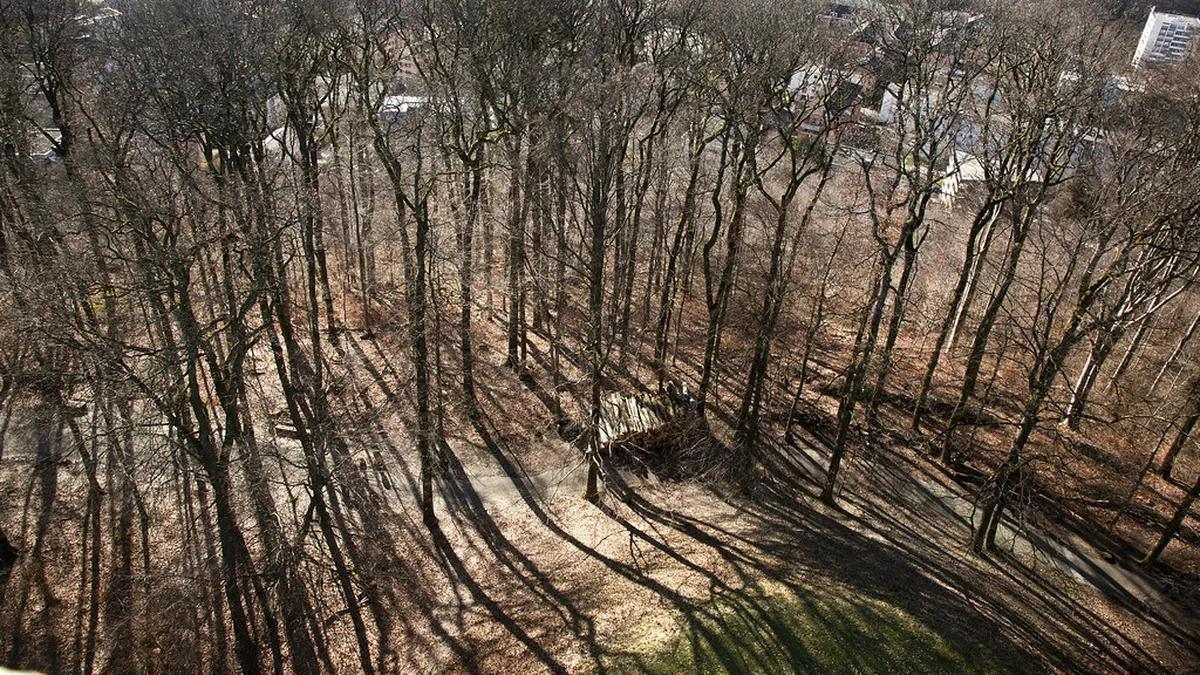 Sauvabelin Forest Walking Trails Lausanne Guide