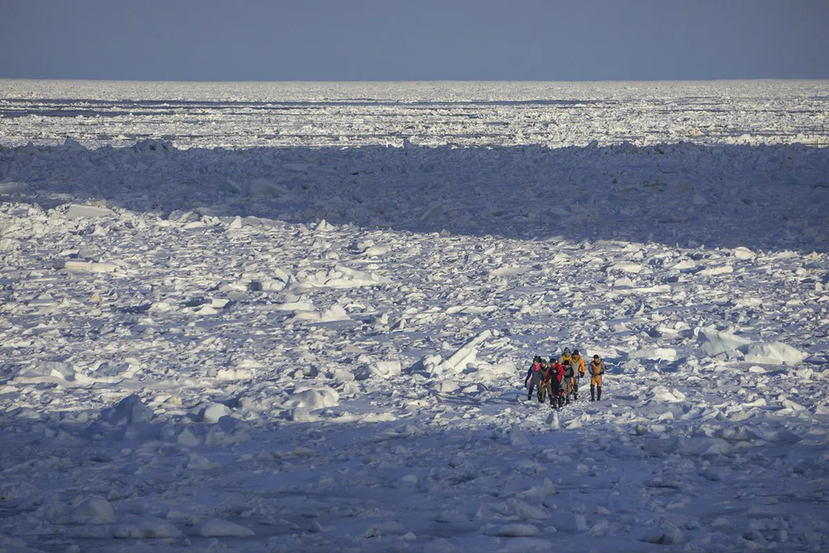 Winter Walking Guide for Ouchy Lakefront