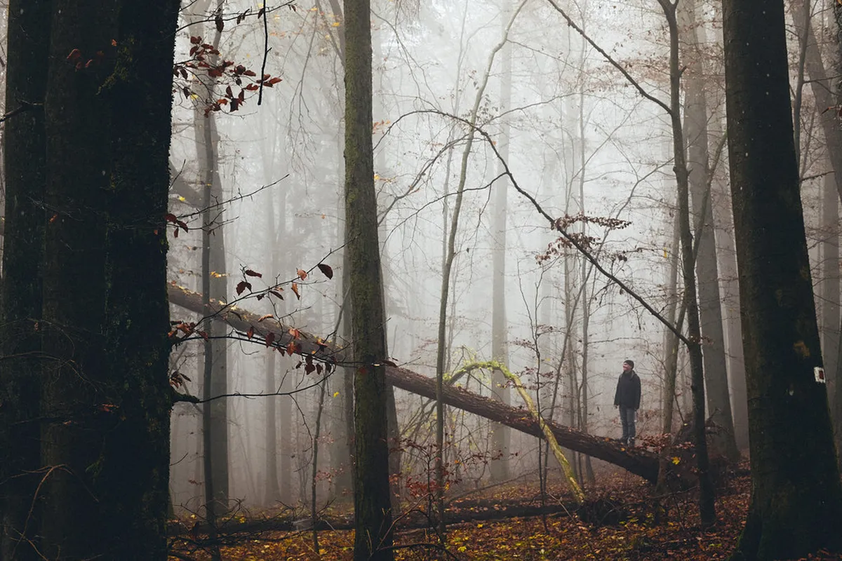 Exploring the Wesemlin Neighborhood Walking Route