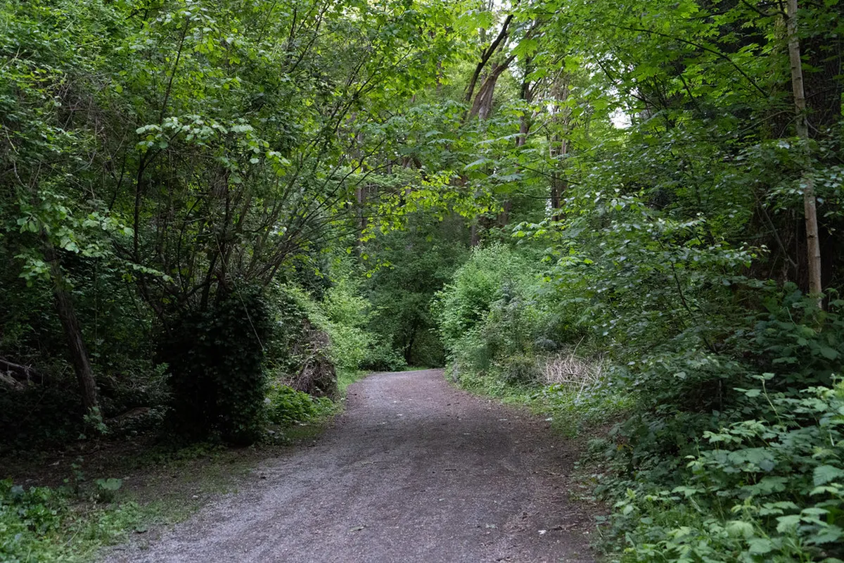 6 Hidden Gems Walking Routes Lucerne (2026 Guide)