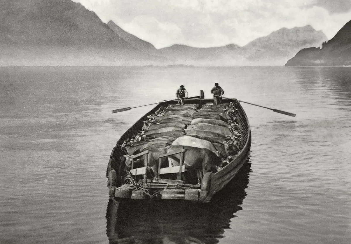 Lucerne Transport for Walkers: 2026 Guide