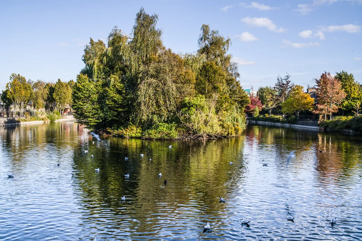 Secret Gardens and Parks Walking in Lucerne