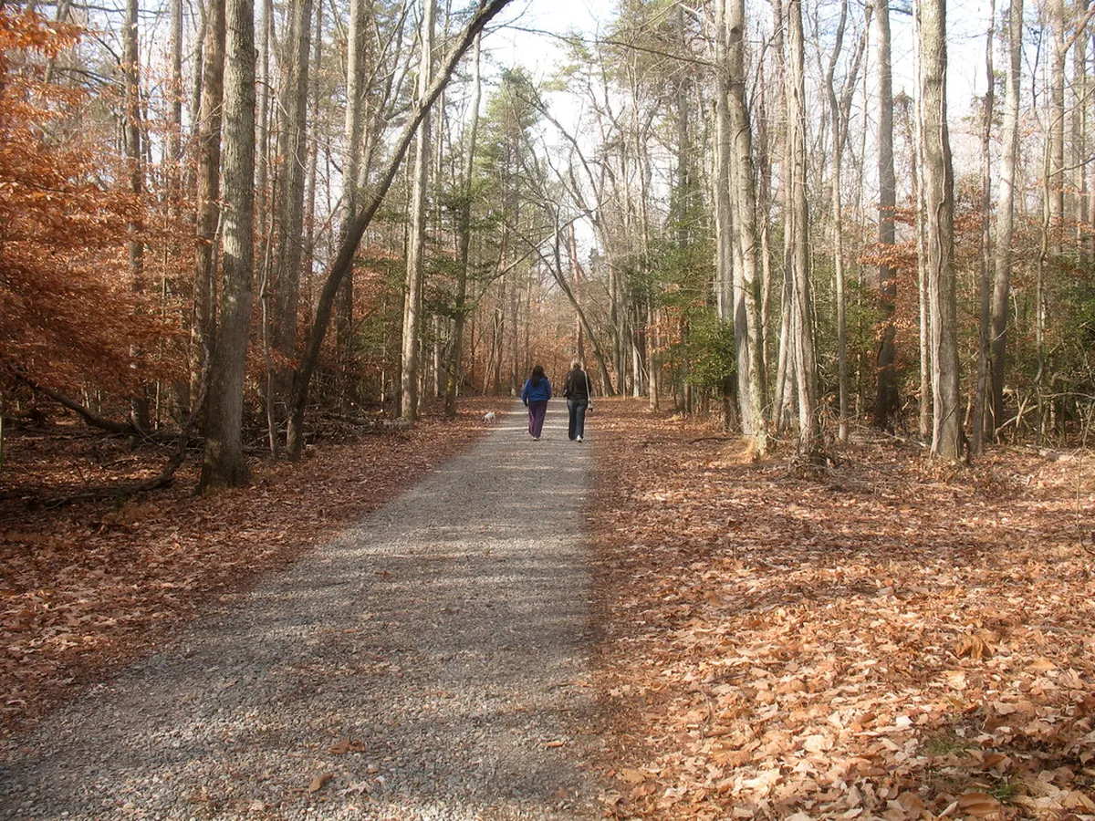 Best Winter Walking Trails Lucerne: 2026 Guide