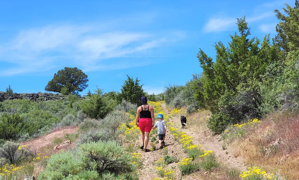 Dog Friendly Hiking Trails on Monte Brè Lugano