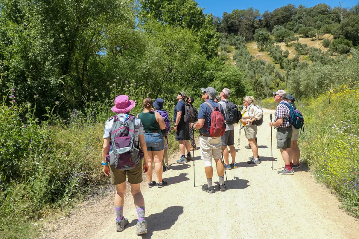 Is the Olive Grove Trail Lugano Family Friendly?