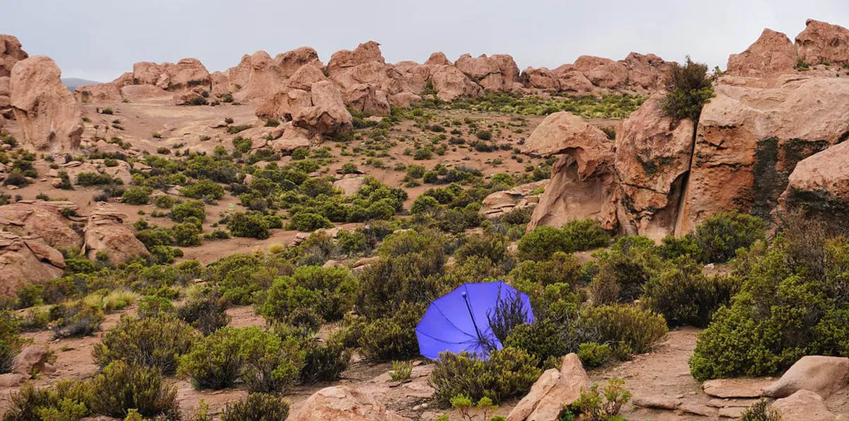 Rare Flora and Fauna on Monte San Salvatore Trails