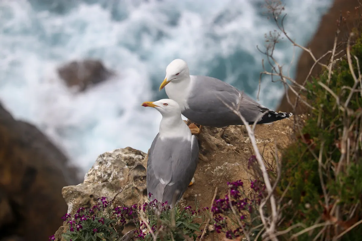Steepness of Monte San Salvatore hiking trails Lugano